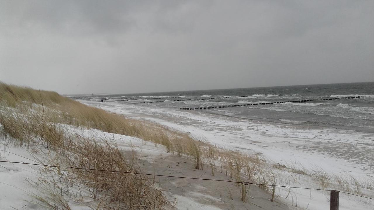 Logierhaus Friedrich We 15 - "Ostseeluft" Zingst Zewnętrze zdjęcie